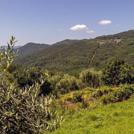 Villa Emma'S House Sasseta Esterno foto